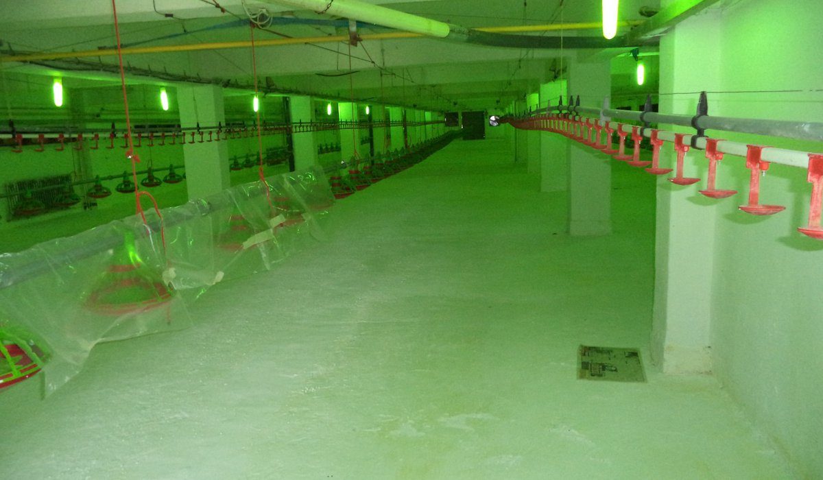 Птицеферма в гр. Добрич