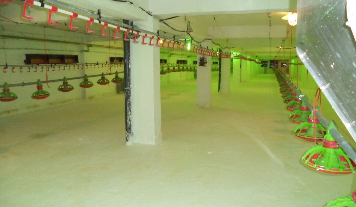 Птицеферма в гр. Добрич