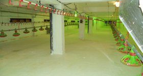 Птицеферма в гр. Добрич