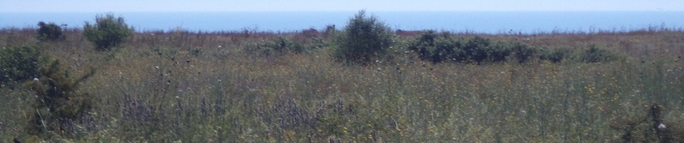 Поземлен имот в Камен бряг