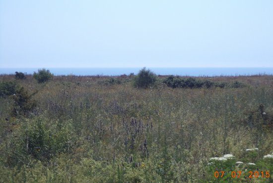 Поземлен имот в Камен бряг