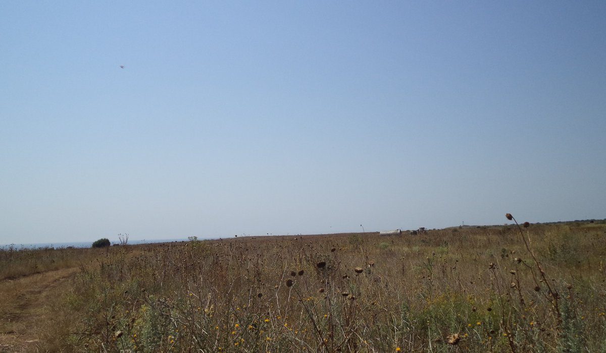 Поземлен имот в Камен бряг