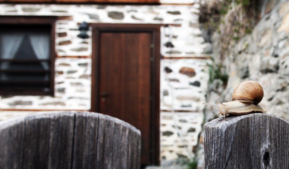 Как може да се възроди изчезващо родопско село