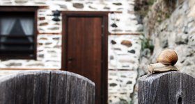 Как може да се възроди изчезващо родопско село