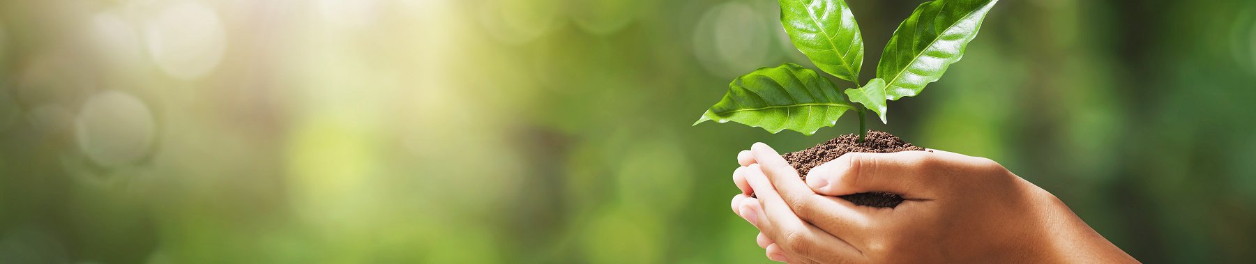 Конкурсът на ББР  и Стопанския факултет в СУ „Нужни ли са ни зелени финанси“ обяви победителите