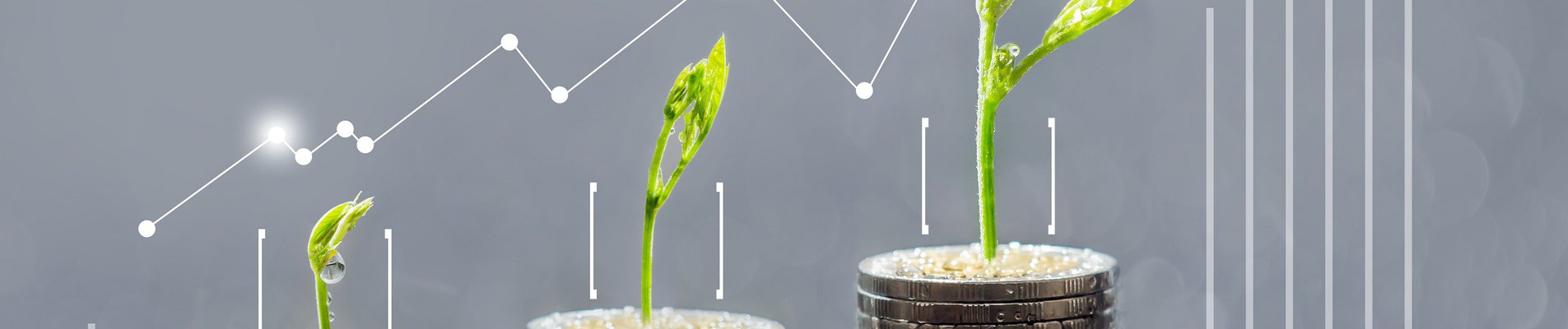 ББР с нова кредитна програма за енергийна ефективност на малкия и средния бизнес