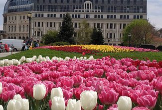 ББР стартира първата си програма, разработена съвместно с бизнеса