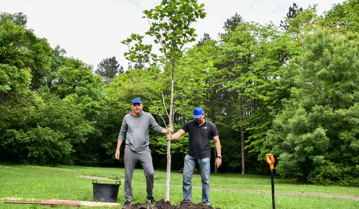 Доброволци от ББР реновираха зони за отдих в Западния парк