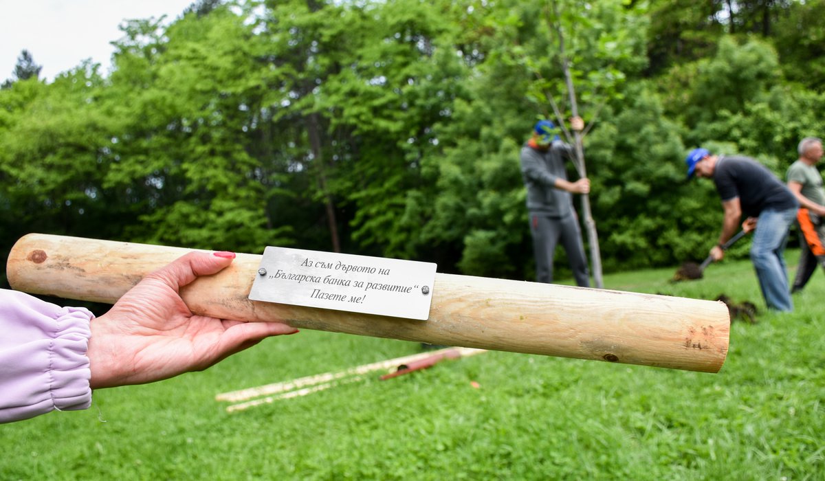 Доброволци от ББР реновираха зони за отдих в Западния парк