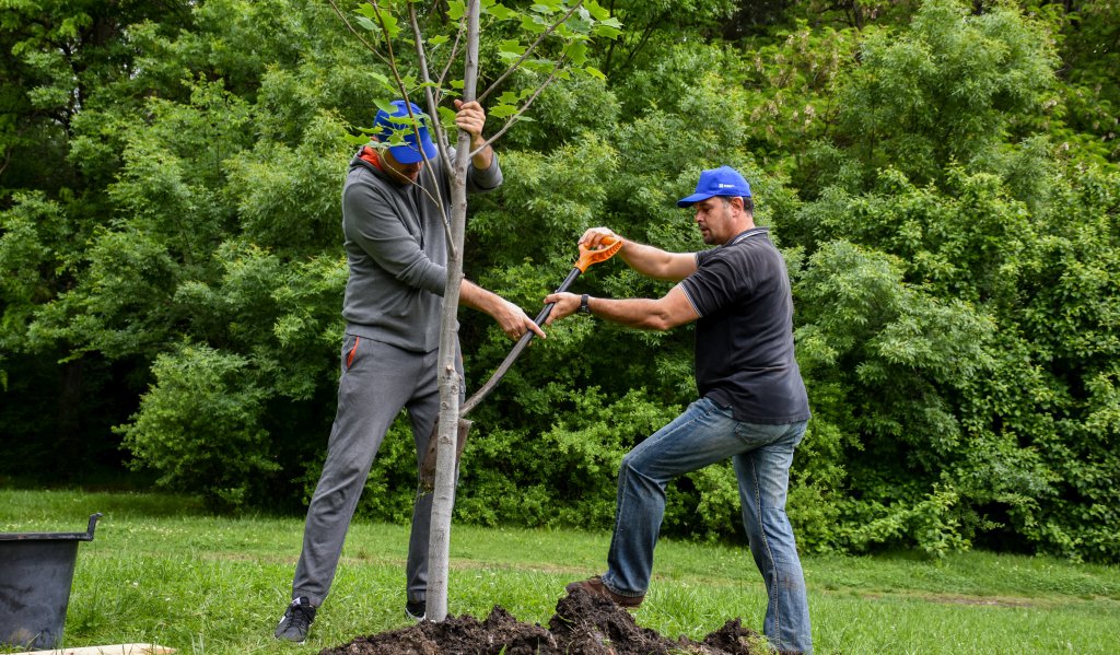 Доброволци от ББР реновираха зони за отдих в Западния парк