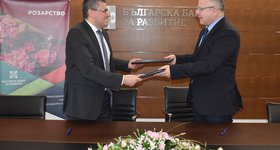 The BDB to collaborate with the National Research and Certif