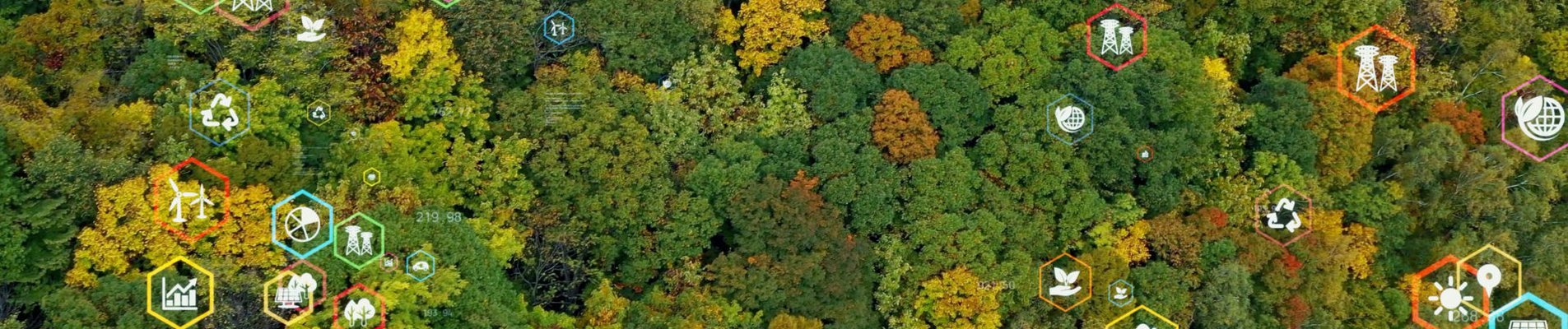 BDB will help small companies in the green transition