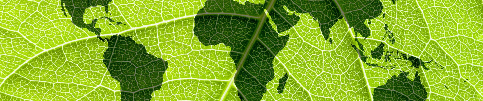 Академия за устойчиви инвестиции и финанси на Софийския университет ще се проведе с подкрепата на ББР