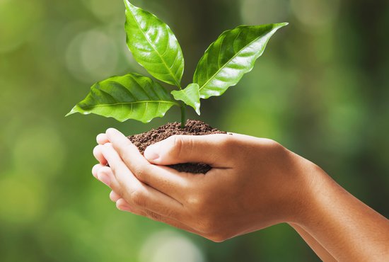 Конкурсът на ББР  и Стопанския факултет в СУ „Нужни ли са ни зелени финанси“ обяви победителите