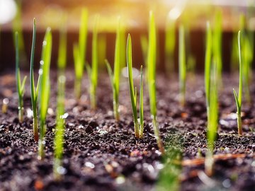 Свободен ресурс