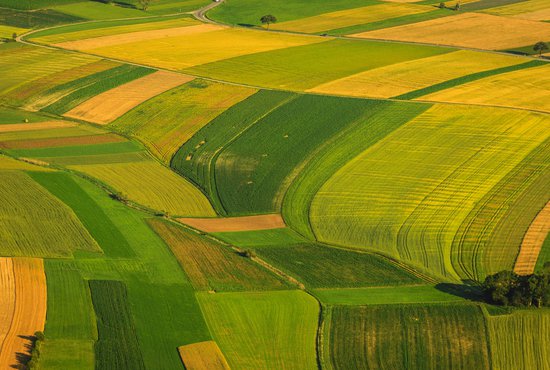 ББР ще подпомага земеделските производители