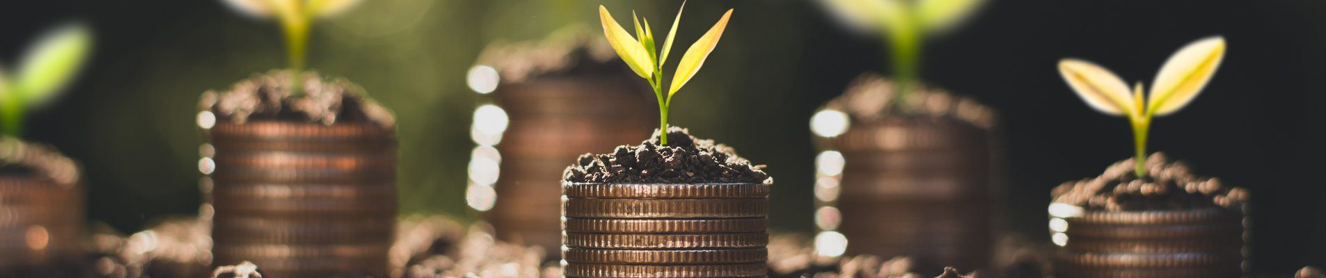 социална отговорност