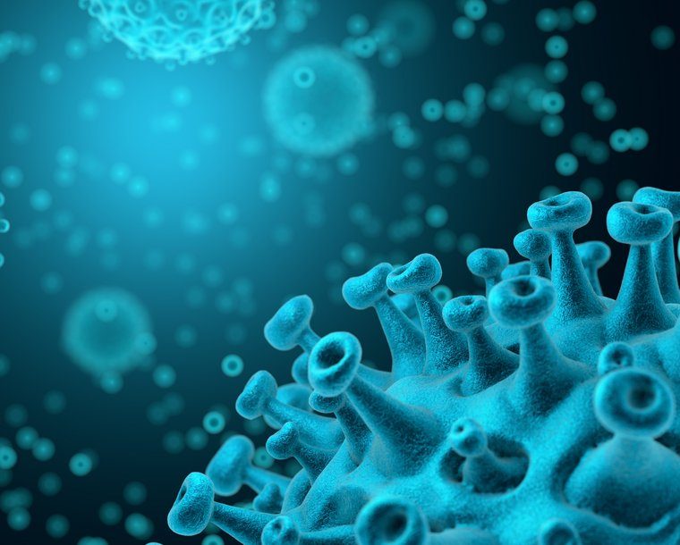 Програма "Възстановяване"