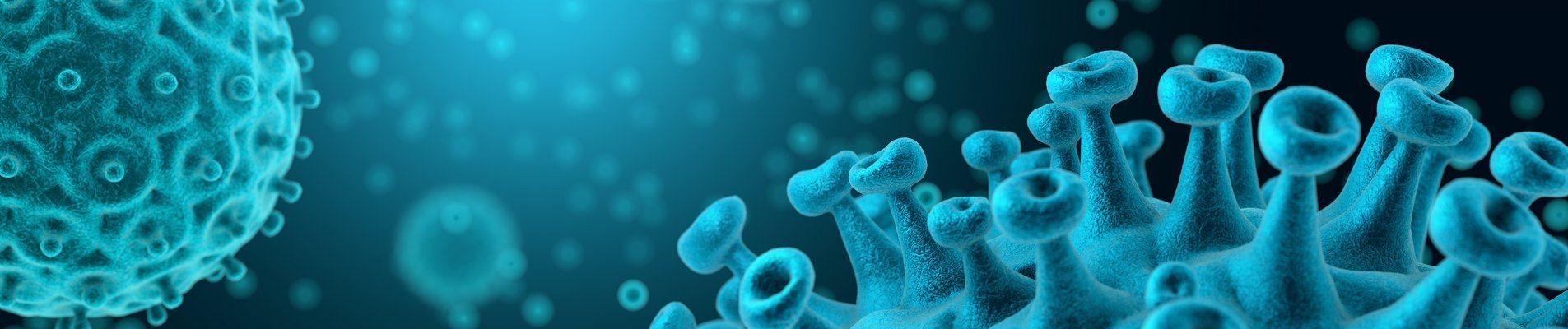 Financial support for victims of COVID-19