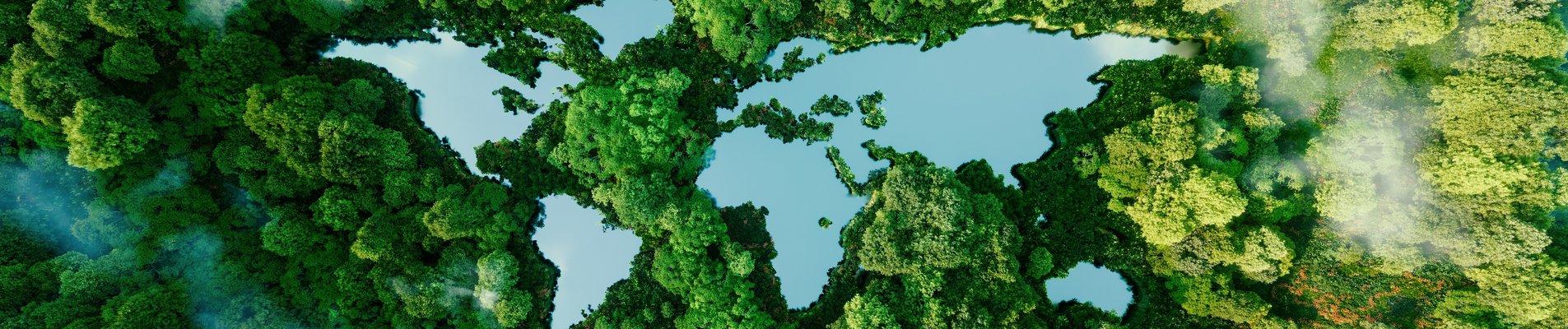 гора, растителност