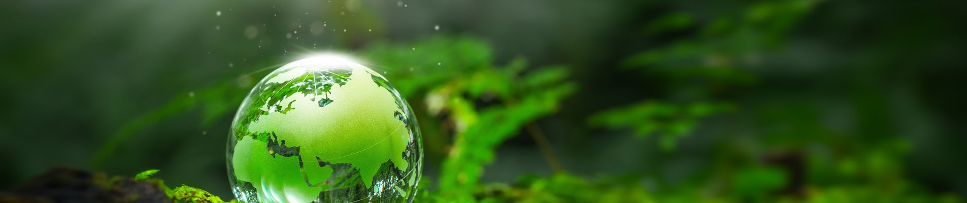 концепция за зеленина и чиста природа