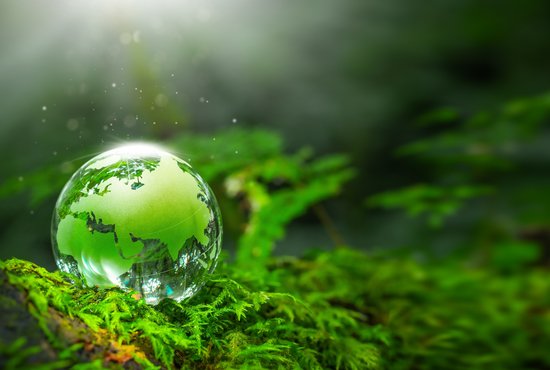 концепция за зеленина и чиста природа