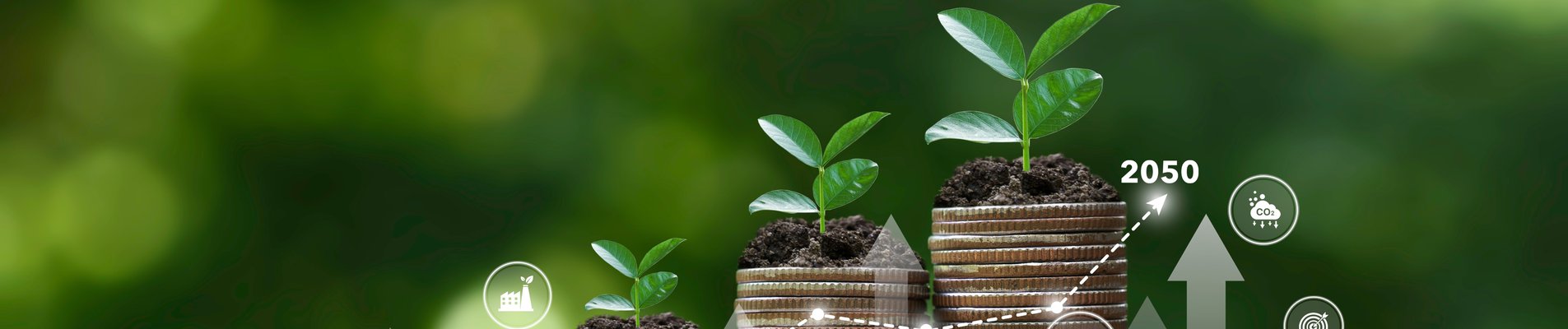 Coins on the ground with icon and graph of Growth