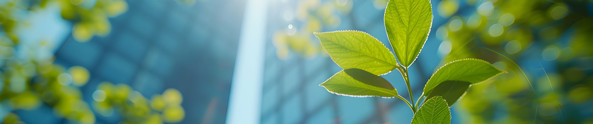 зелнина на фона на стъклени бизнес сгради