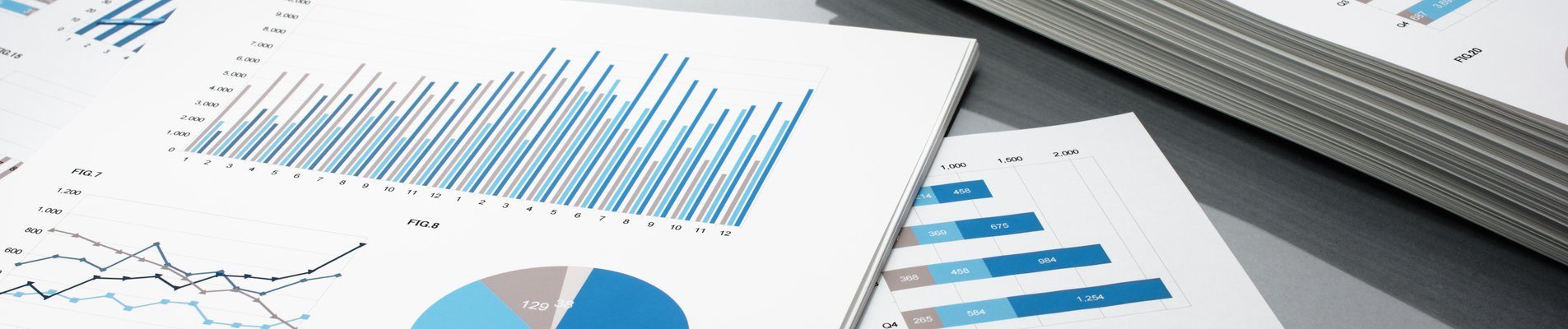 Годишни отчети за 2015 година