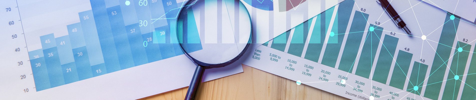 Годишни отчети за 2013 година